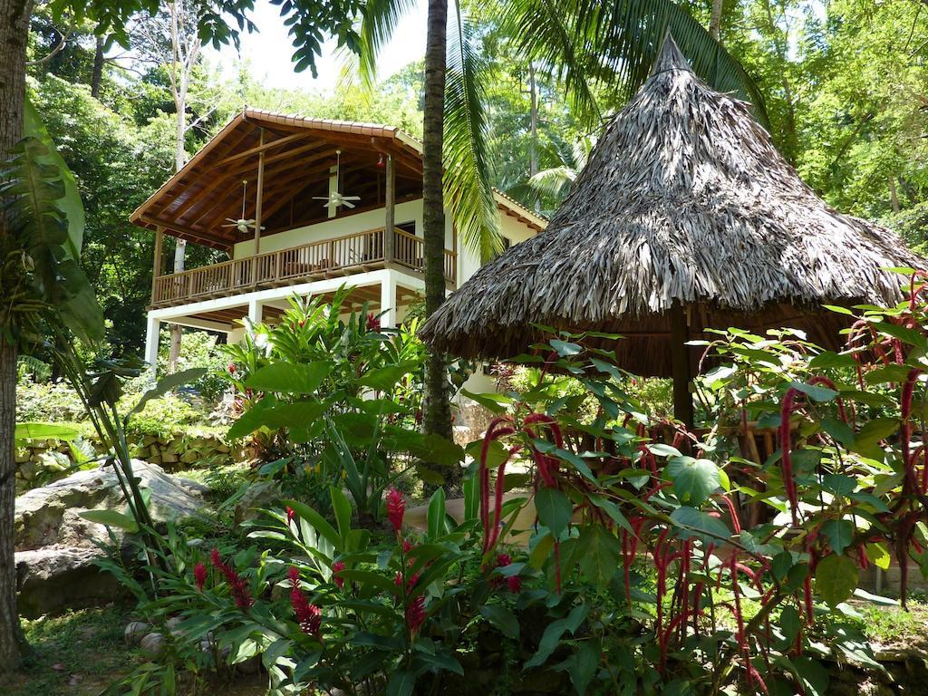 皮科波尼山林小屋 拉塞瓦 外观 照片